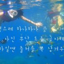 유등숯불식당 이미지