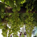 중흥2동행정복지센터 이미지