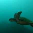 푸른바다 이미지