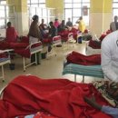 고라농장 이미지