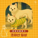 한국맥도날드(유)김해삼계DT점 | 조마산 블로그 일상