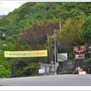 청풍호 감 이미지