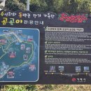 공곶이이야기