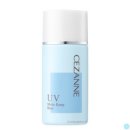 세잔느와 이미지