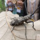 은빛유치원 이미지