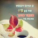 와커피 - 남구 우암로104번길 20 | 와커피