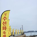 선도수선화 이미지