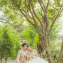 스튜디오봄 네이버블로그