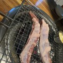 초원갈매기 이미지