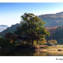 중광농장 이미지