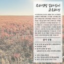 ＜수라갯벌 길라잡이 교육과정＞ 참가자 모집 이미지