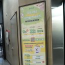 옐레드 애견유치원 & 애견호텔 대전노은점 이미지