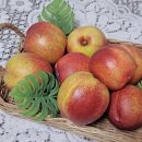 승주농장 이미지