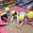 키즈콩2(체육) 이미지