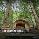 네이처뷰(아)경로당 | 숲속 힐링 감성, 양평 스테이네이처 캠핑장 솔직 후기
