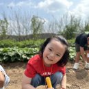 [승마&농장체험] 고구마캐기, 말 먹이주기 🍠🥕 이미지