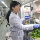 광주유통 이미지