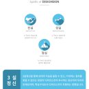 이룸디자인스킨 이미지