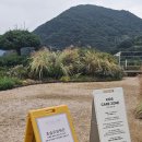 오슬로 | 댐 뷰 테라스 대형 카페 방문 후기: 충주 가볼만한 곳, 충주 여행 코스, 충주 카페 추천, 활옥동굴 근처...