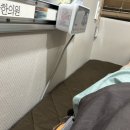 은주네꽃집 | 바쁘고아픈몇달