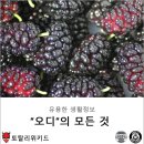 엘케이푸드(주) 이미지
