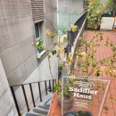 신사대표 크로플맛집 [새들러 하우스] 내돈내산 솔직후기..
