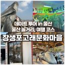 범고래상회 | 울산 놀거리 여행 코스 장생포 고래문화마을 방문 후기 및 주차