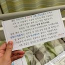삼성S메디의원 | 부산 마더즈의원 맘모톰 수술｜비용·입원기간·회복 후기