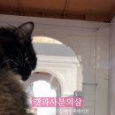 사분의삼