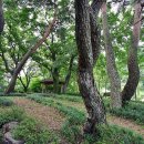 신전권역 야영장 이미지