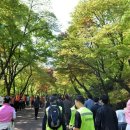 남산동