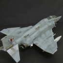 하세가와 1/48 QF-4S Phantom II VX-30 BLOODHOUNDS 이미지