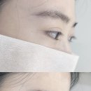 로로아로 이미지