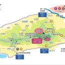 진달래약국 이미지