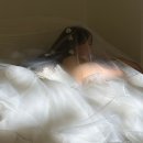 녹색플라워 | 밀라드 스튜디오 제휴 [다비플라워] 생화 디렉팅 2시간 후기