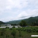 용대농장 이미지