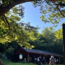 중머리재 | 광주 무등산 중머리재 등린이 등산 후기! 여름 등산 필수템과 꿀팁, 화장실 위치 공유까지(2025.06.29.)