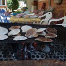 물안민박 이미지