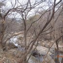 수지사 Daum카페