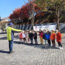 노벨생태어린이집 이미지