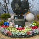 건지미 이미지