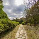 남한강 자전거길 | 양평 수풀로 양수리 | 북한강 위를 달리는 남한강 자전거길