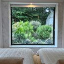 애월돌집 | [제주 애월 풀빌라 리뷰] 프라이빗한 감성숙소 &#34;고요고목 돌집감성 풀빌라민박&#34;