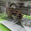 이규보로22번길 이미지