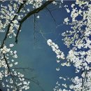 이노센스 이미지