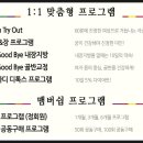 나비스파