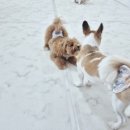 개스트룸 이미지