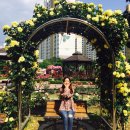 진천장미공원 이미지