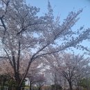 율하체육공원 테니스장 내 | 대구 율하체육공원에 다녀왔습니다.