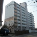 강릉경찰서(버스정류장) 이미지